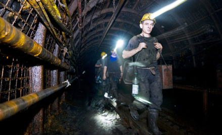 PGG zostanie wsparta kwotą 2,4 mld zł
