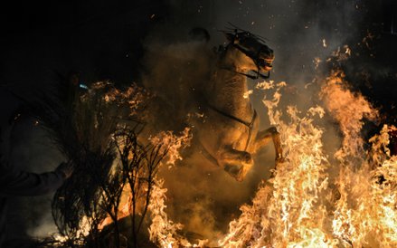 Przyroda (zdjęcie pojedyncze): 1. miejsce - Bartłomiej Jurecki, Tygodnik Podhalański