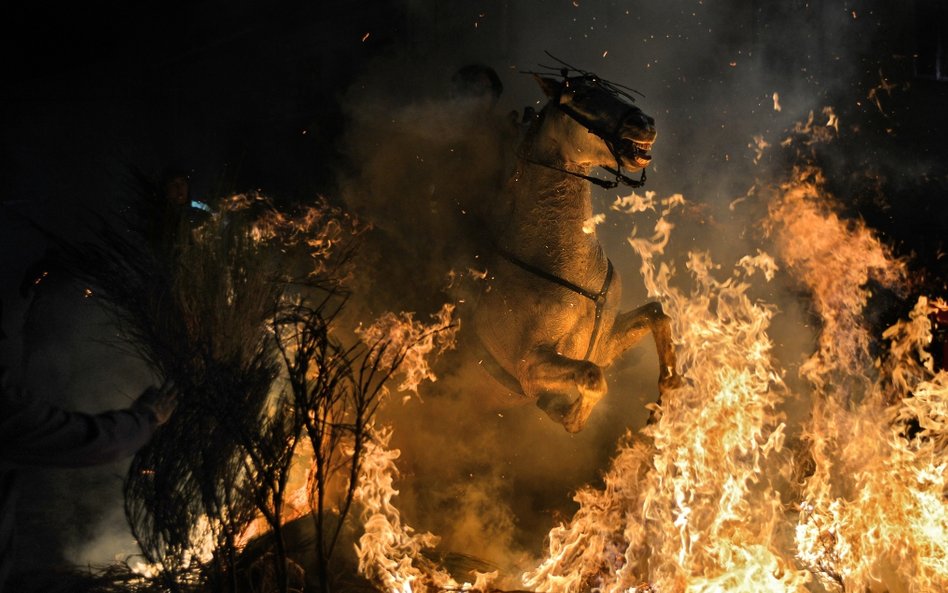 Przyroda (zdjęcie pojedyncze): 1. miejsce - Bartłomiej Jurecki, Tygodnik Podhalański