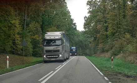 Przewoźnicy proszą UE o odroczenie Pakietu Mobilności