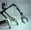 Święto polskich robotów