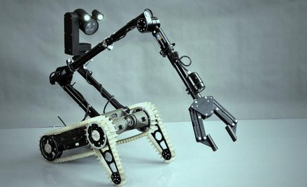 Święto polskich robotów