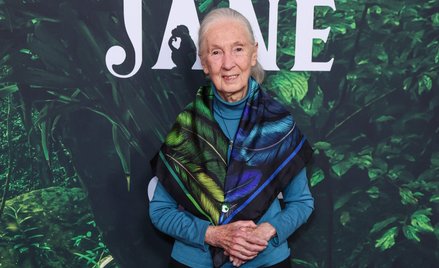 Jane Goodall wciąż podróżuje przez około 300 dni w roku, nieprzerwanie prowadząc edukację na temat z