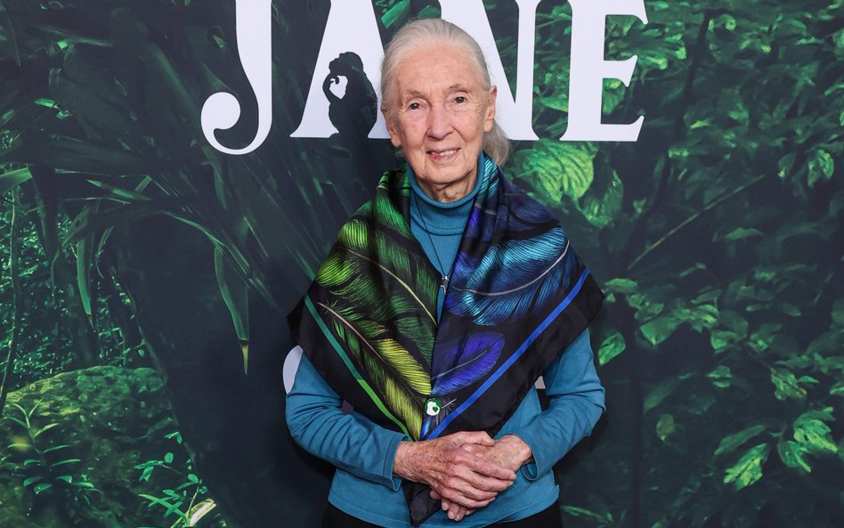 Jane Goodall wciąż podróżuje przez około 300 dni w roku, nieprzerwanie prowadząc edukację na temat z