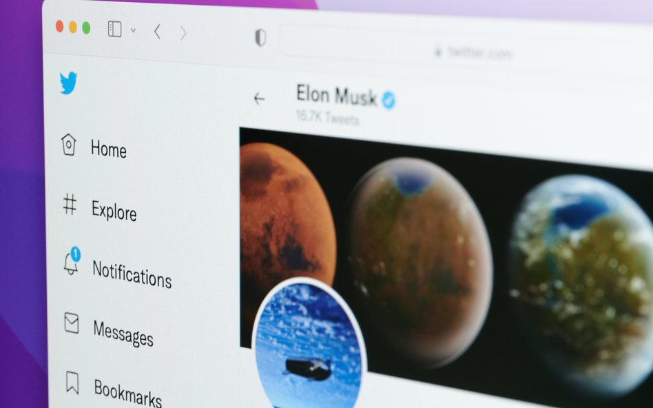 Musk przebił barierę 100 mln obserwujących na Twitterze. Pomogły mu boty?