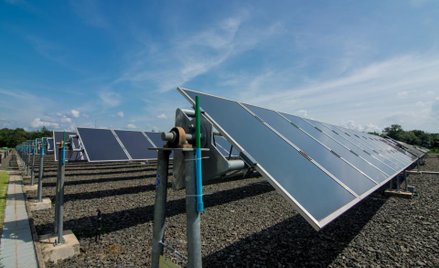 PGE: Czempion chce czerpać moc ze słońca