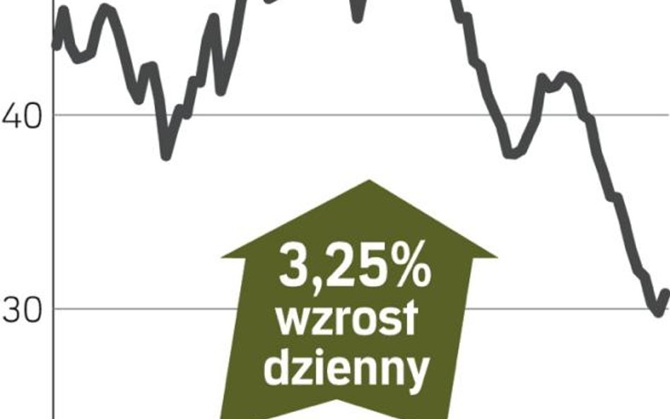 Skotan – spółka, o której się mówi w Warszawie