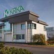 Krka rusza ze skupem akcji: Do 251,9 mln euro na umorzenie