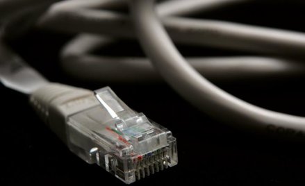 Zbyt wolna walka z białymi plamami