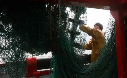 Jak rozwiązać problem sektora rybołówstwa w UE – seminarium