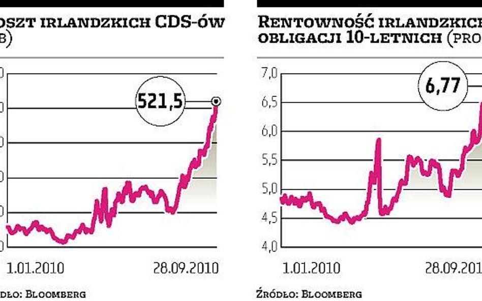 Dług Irlandii straszy inwestorów