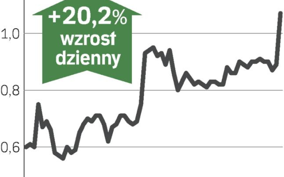 Cena akcji poszybowała w górę