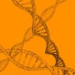 Rejestr DNA dla obywateli