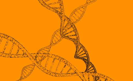 Rejestr DNA dla obywateli