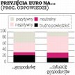 Przyjęcie euro: O wadach mówi więcej osób niż o korzyściach