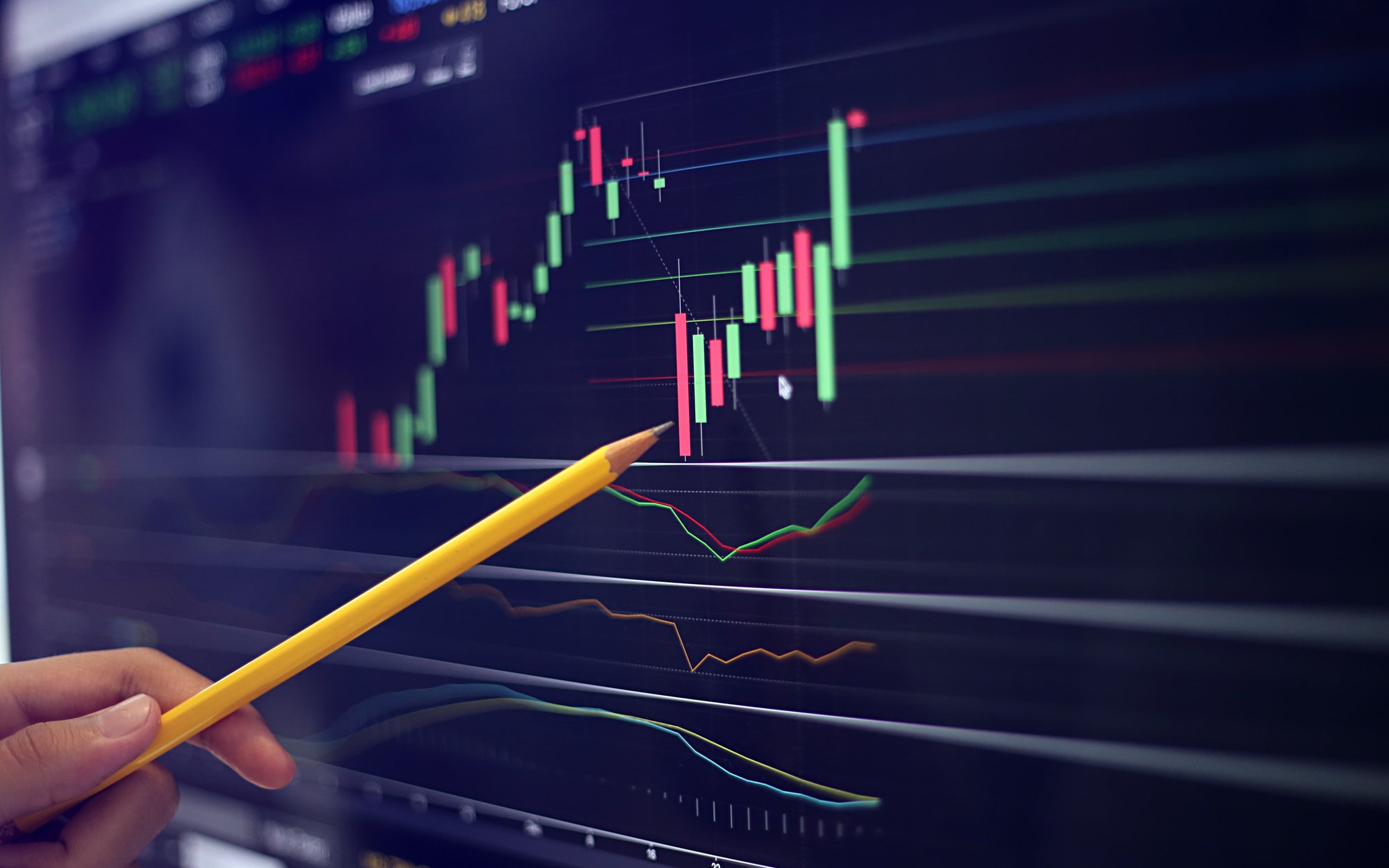 Euforia na akcjach ZE PAK -u. Pomogła rekomendacja