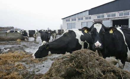Nie będzie renty od rolników