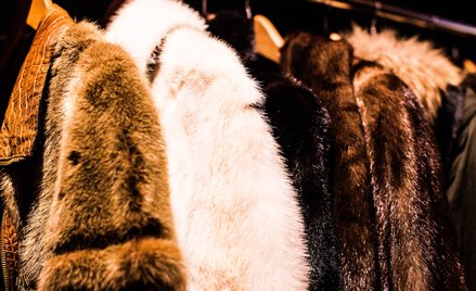 Opierał się 30 lat: słynny dom mody rezygnuje z futer