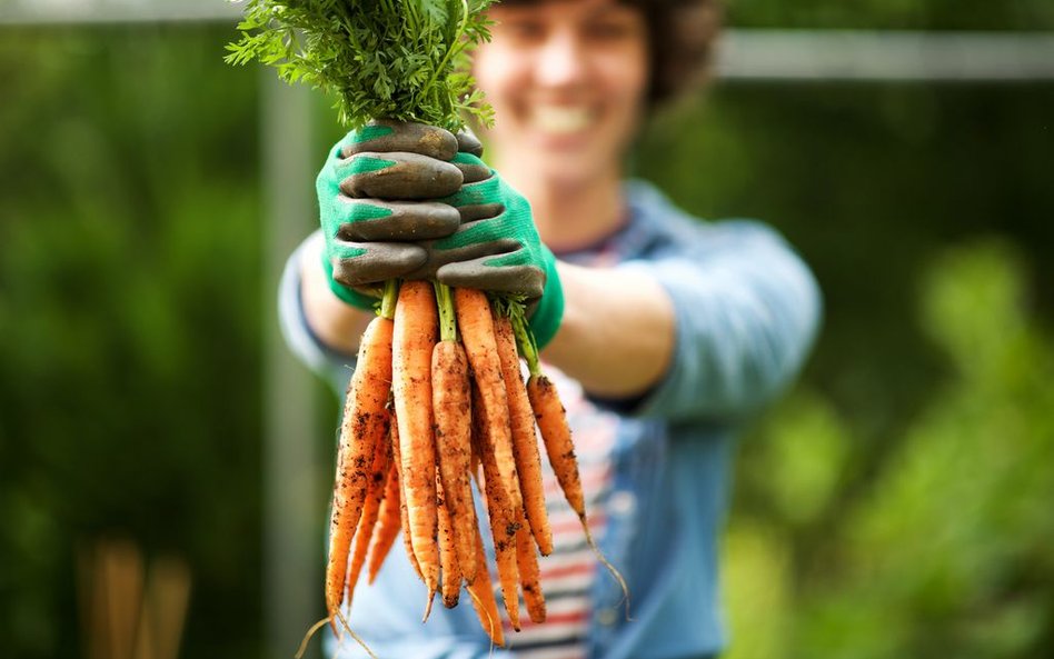 Naturalne czy syntetyczne? Z lasu czy z laboratorium – czyli słów kilka o micie naturalności