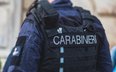 Przemyt zwierząt z Sycylii na Maltę. Celnicy znaleźli ich niemal 400 w jednym aucie