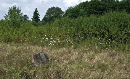 W ostanich pięciu latach porządkowanych było 120 cmentarzy żydowskich