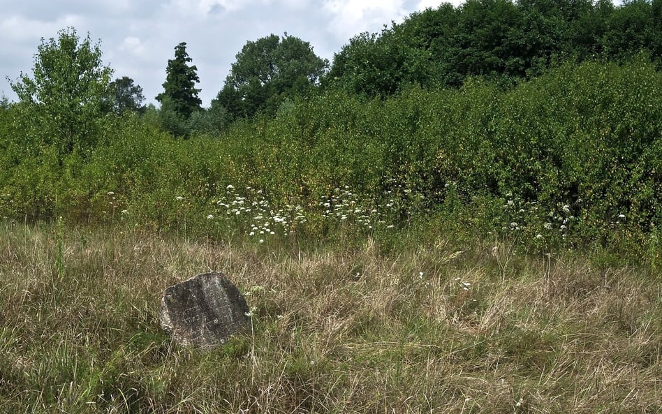 W ostanich pięciu latach porządkowanych było 120 cmentarzy żydowskich