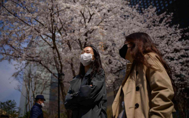 Korea Płd.: Krzywa zakażeń wirusem wciąż płaska