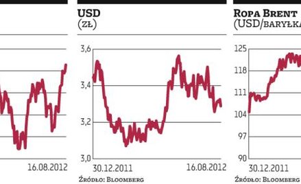 Inwestorzy liczą na kolejne wzrosty