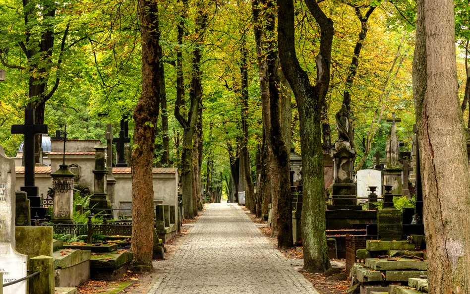 Cmentarz Powązkowski jest najbardziej znaną warszawską nekropolią