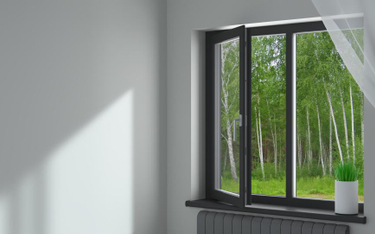 WSA: do zamurowania okien wystarczyło użyć odpowiedniej klasy luksferów