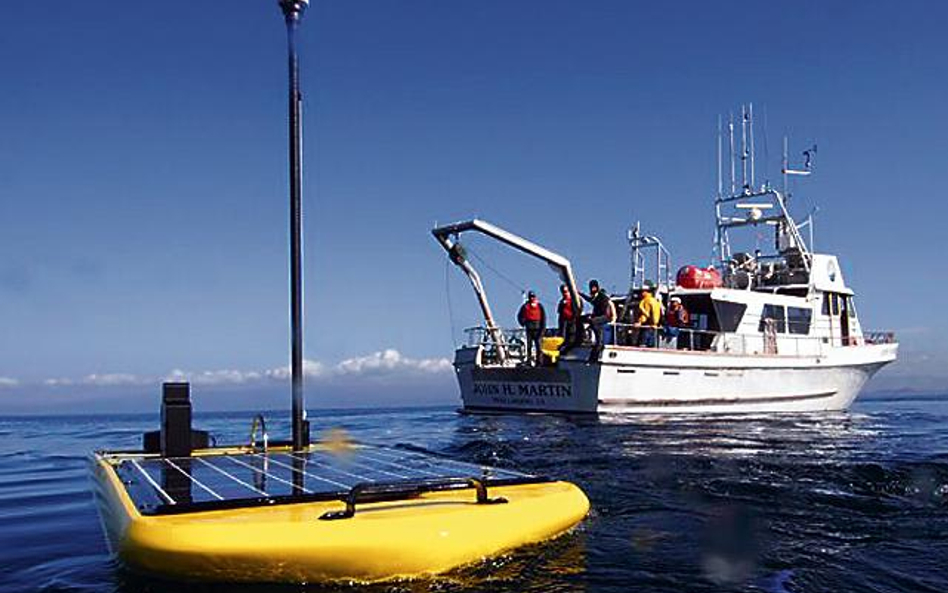 Roboty, choć niewielkie, świetnie sobie radzą na falach oceanu