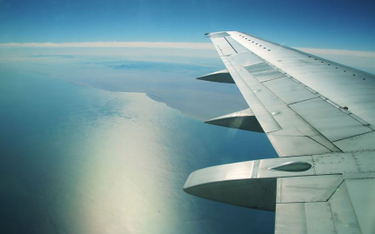 Linie lotnicze VivaColombia chcą usunąć fotele z samolotów