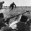 Szeregowych żołnierzy I Armii Wojska Polskiego i innych formacji na sowieckim froncie nikt nie pytał