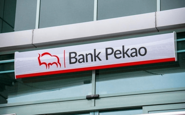Pekao musi poczekać na powrót do wyższej rentowności
