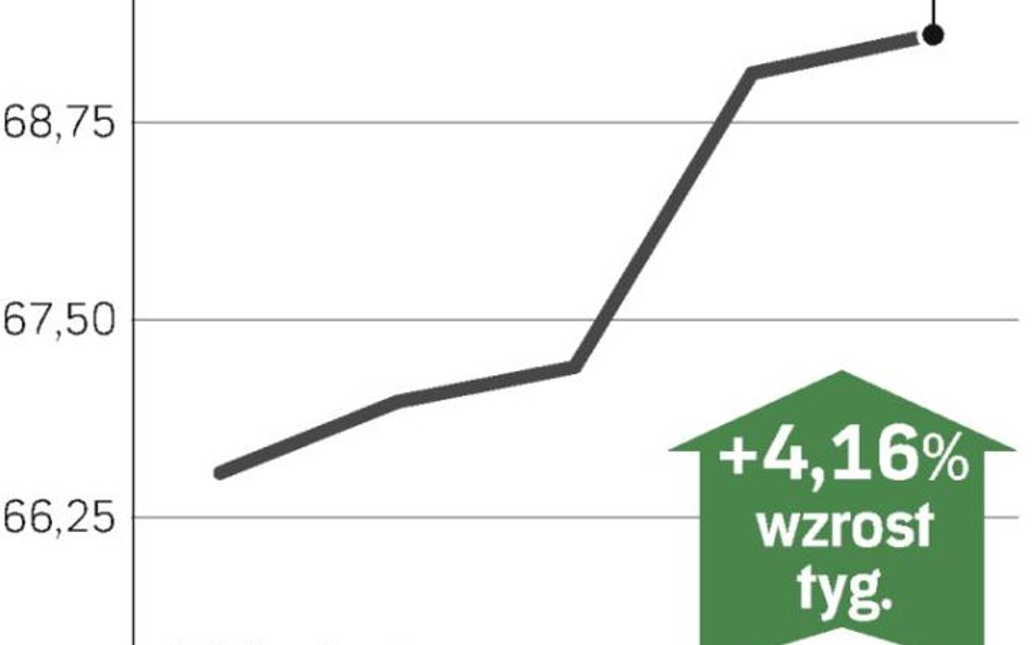 Rynki uwierzyły w odrodzenie