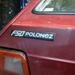 Polonez: Polski nos czy Bałtyk?