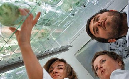 Europejski przemysł zatrudnia za mało naukowców. Na zdjęciu laboratorium Uniwersytetu Wrocławskiego