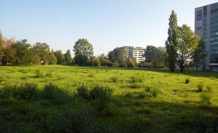 Gmina ma miesiąc na wykonanie pierwokupu