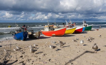 Warto kupować ryby bezpośrednio od rybaków. Za kilogram flądry zapłacimy wtedy od 5 do 7 zł