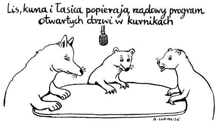 Komentarz rysunkowy. Otwarte drzwi w kurnikach