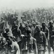 Kolumna jeńców sowieckich wziętych na Białorusi, lipiec 1941 r.
