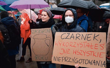 Demonstracja pod Sejmem Inicjatywy Wolna Szkoła w czasie obrad nad nowelizacją ustawy