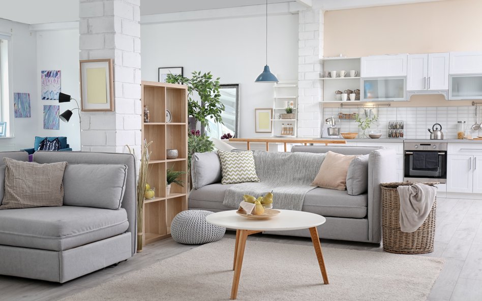 Chętni na wynajem mieszkań nie mogą narzekać na wybór