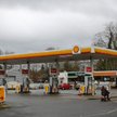 The Guardian: Shell kończy wspieranie kultury