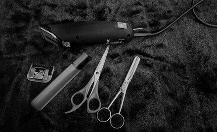 Te nietypowe zawody kuszą wysokimi zarobkami