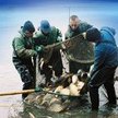 Zakład budżetowy Stawy Milickie nie chce prywatyzacji