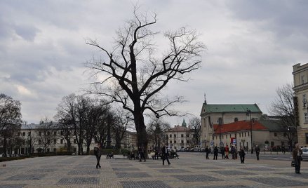 Lublin: Pacjenci pogrzebani po raz drugi