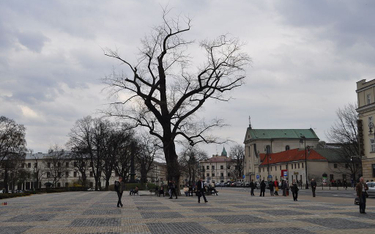 Lublin: Pacjenci pogrzebani po raz drugi