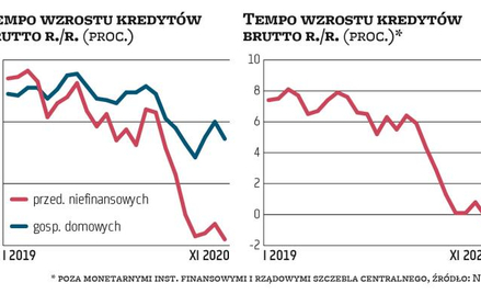Rok 2020 upłynął pod znakiem słabości sprzedaży kredytów, w niektórych miesiącach i kategoriach udzi
