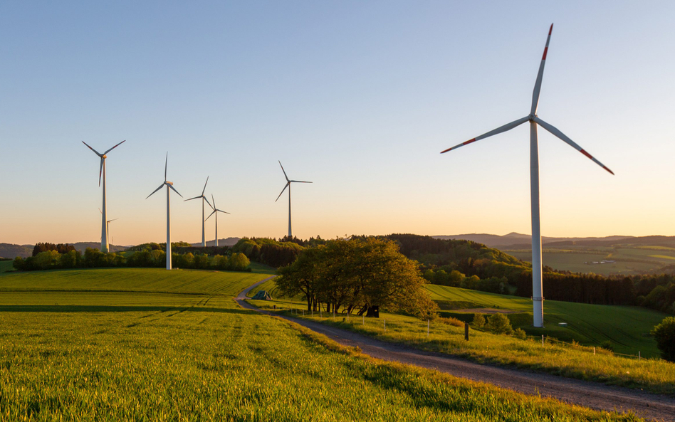 Zdaniem rządu należy podjąć działania minimalizujące obciążenia gospodarki kosztami energii, w tym w